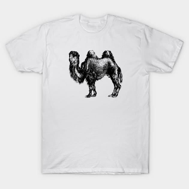 Camel T-Shirt by linesdesigns